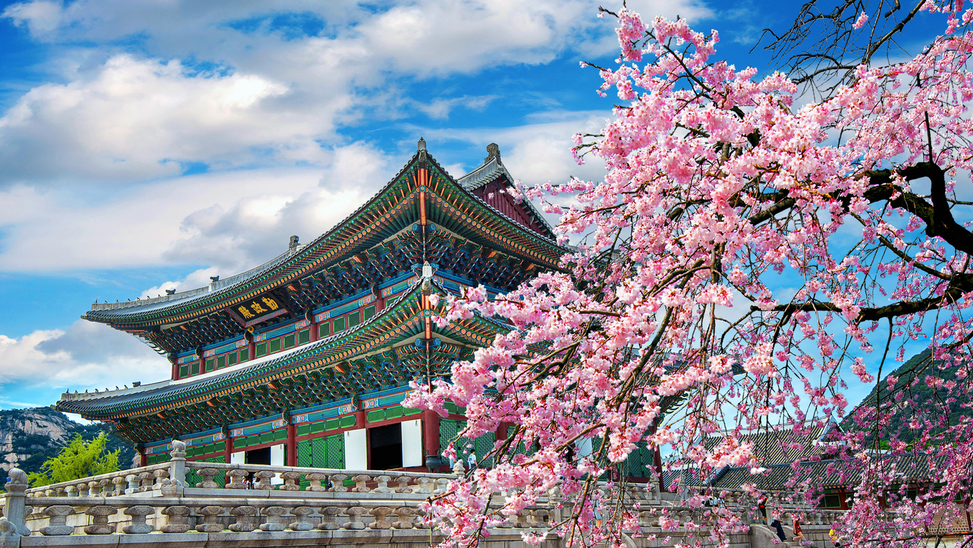 10 Romantic Things to Do During Cherry Blossom Season in Seoul – Couples Edition